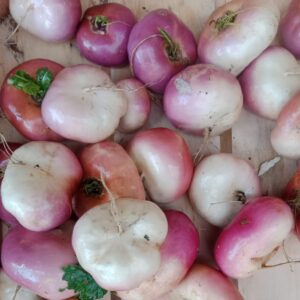 Navet hors calibre - réduction de 50% !