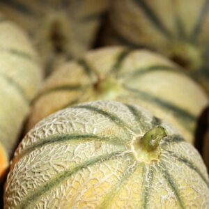 Melon