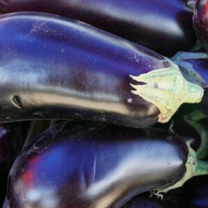 Aubergine